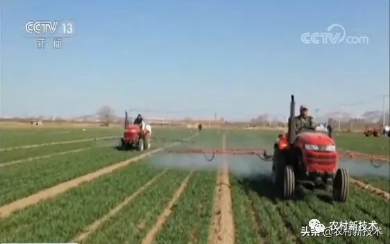 爱游戏官网- 斯佩齐亚训练基地升级，高科技设备助力备战  